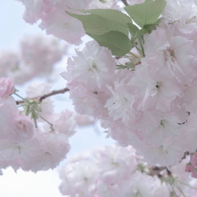 兽设线稿临摹素材Furry群